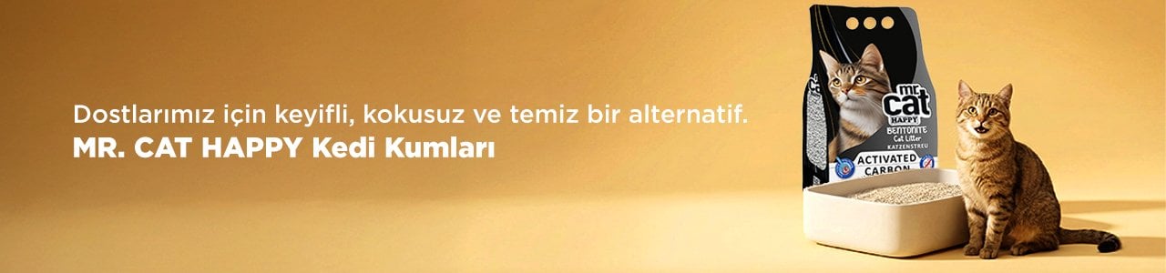 mr cat happy kedi kumları