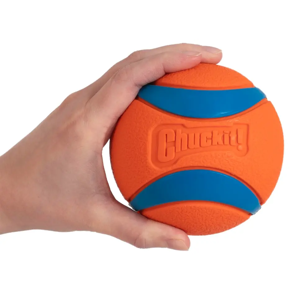 Chuckit Ultra Ball XXL Köpek Topu 10 cm Büyük Irk Oyun Topu