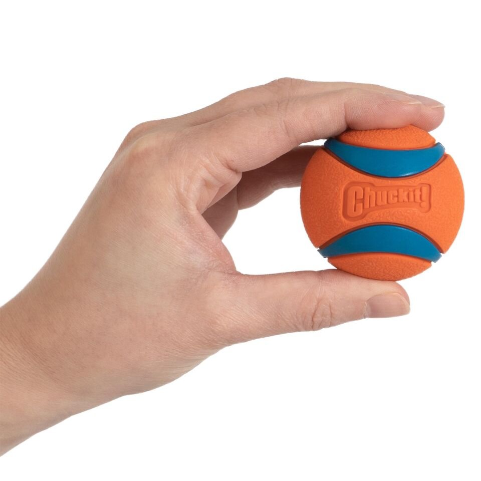 Chuckit Ultra Ball Küçük Boy Köpek Oyun Topu 2'li Paket