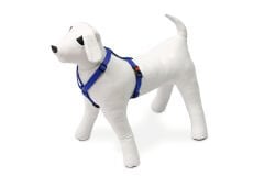 Karlıe Köpek Göğüs Tasması S Mavi 35-50x1,5