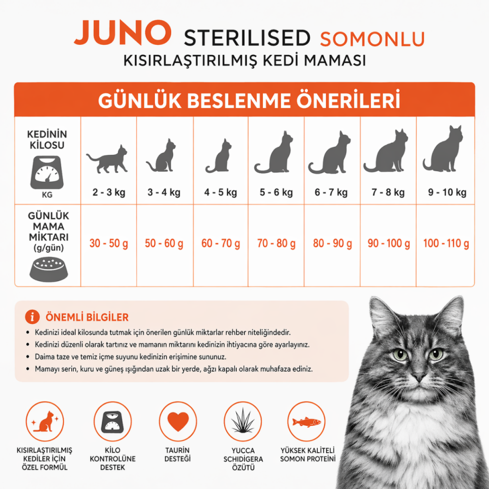 Kısırlaştırılmış Yetişkin Kedi Maması Somonlu 15 Kg