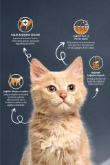 Reflex Tavuklu Yavru Kedi Maması 15 Kg