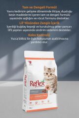 Reflex Kitten Tavuklu Yavru Kedi Maması 15 Kg ( Yeni Paket Yeni Üretim )