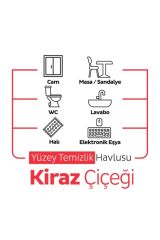 Easy Clean Kiraz Çiçeği Kokulu Yüzey Temizlik Havlusu - 100 Yaprak 6 Adet