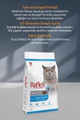 Somonlu & Hamsili Yetişkin Kedi Maması 2 Kg