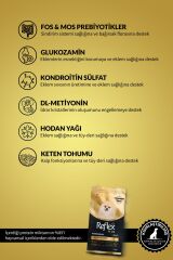 Reflex Plus Pomeranian Tavuklu 2 kg Yetişkin Köpek Maması