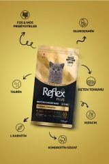 Reflex Plus Özel Irk British Shorthair Yavru Tavuklu Hipoalerjenik Kedi Maması 1,5 kg