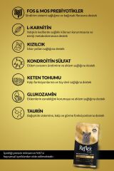 Reflex Plus Özel Irk British Shorthair Yavru Tavuklu Hipoalerjenik Kedi Maması 1,5 kg