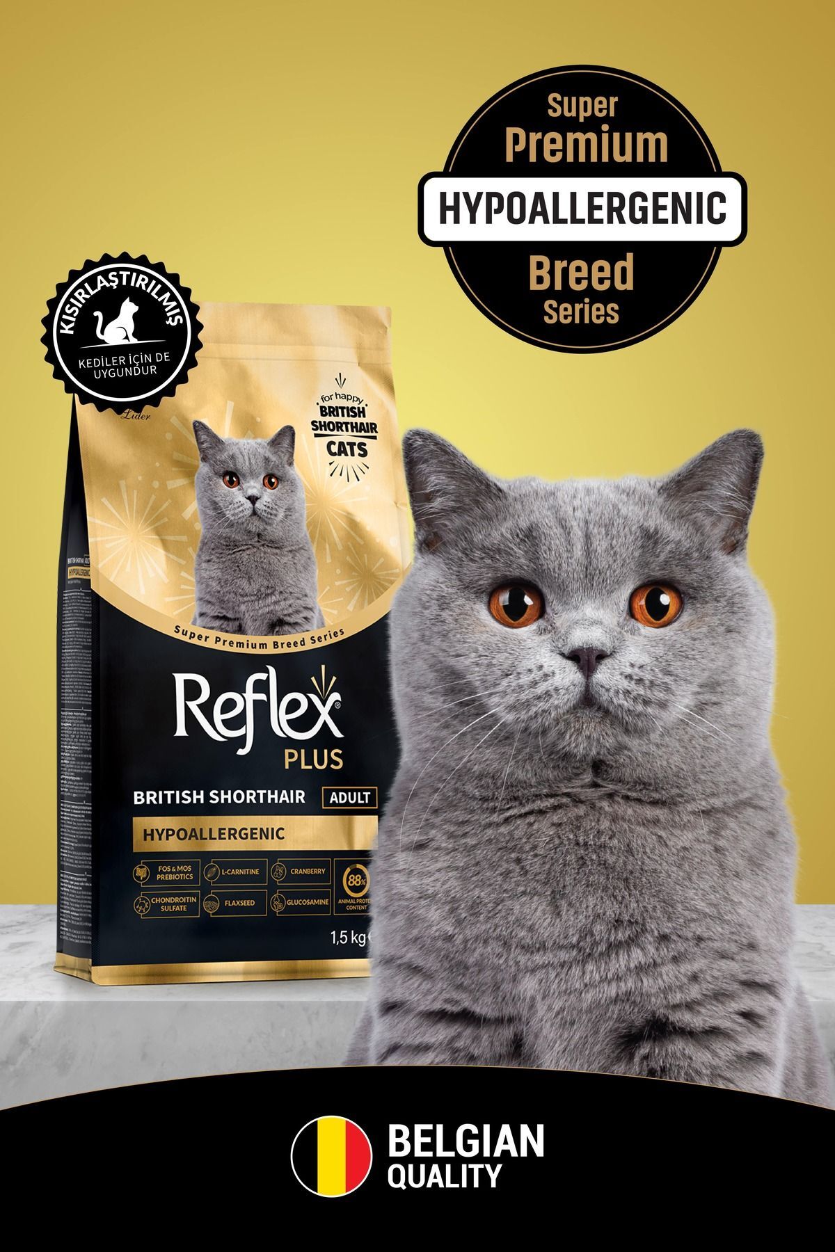 Reflex Plus British Shorthair Yetişkin Kedi Maması 1,5 kg