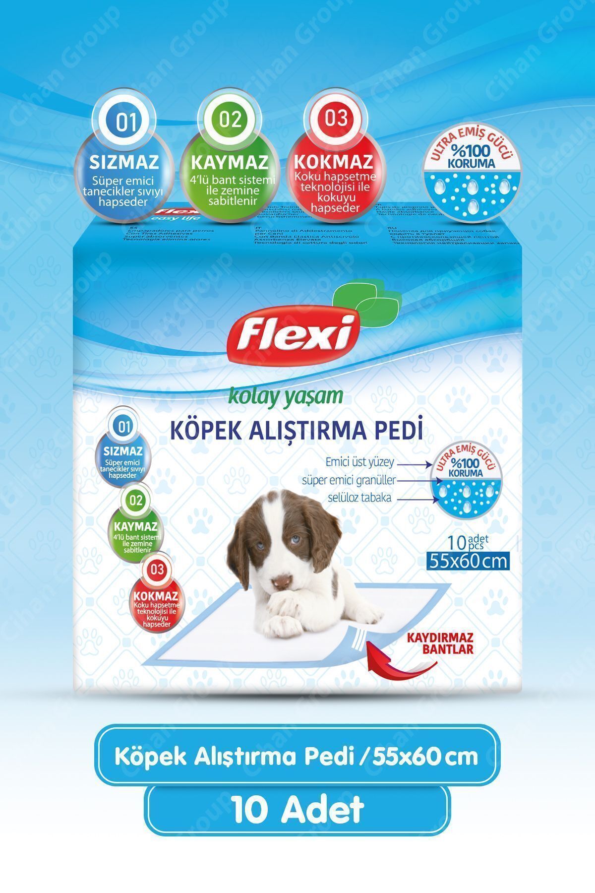 Köpek Alıştırma Çiş Pedi - 55x60cm 10lu Paket