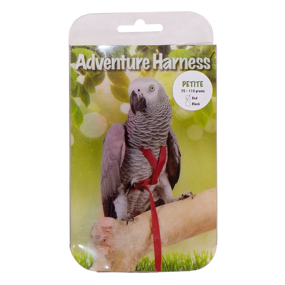 Eastland Kuş Göğüs Tasma Xxs 6,5x25x125cm