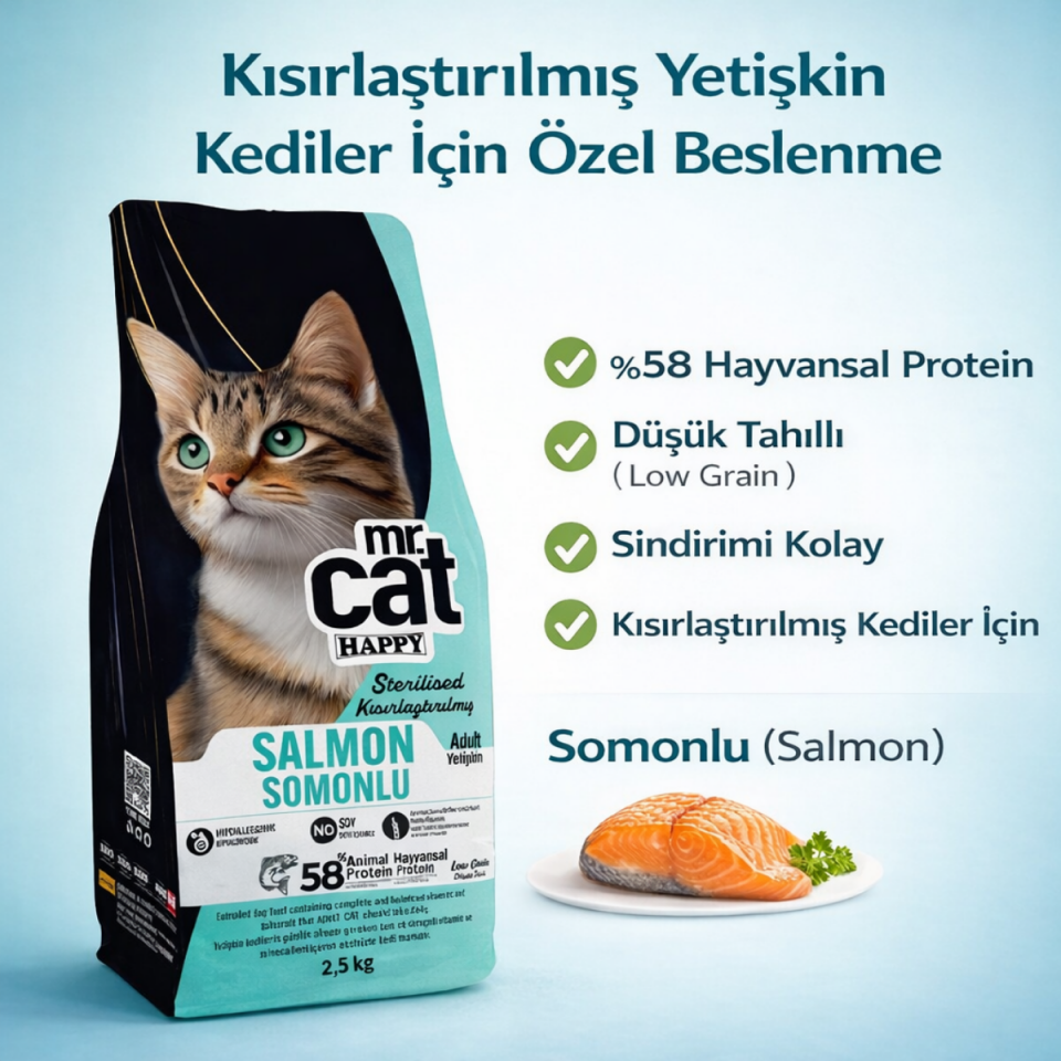 Kısırlaştırılmış Somonlu Kedi Maması 2,5 Kg