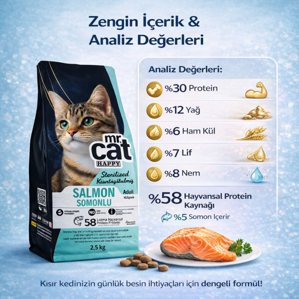 Kısırlaştırılmış Somonlu Kedi Maması 2,5 Kg