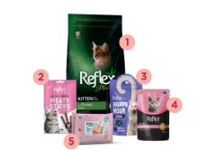 Reflex Plus Purrfect Start Pack / Yavru Kedi Paketi