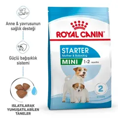 Royal Canin Mini Starter Küçük Irk Yavru Köpek Maması 4kg