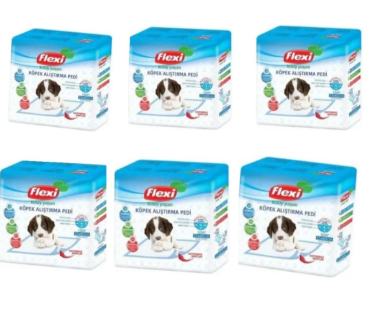 Flexi Kaydırmaz Bantlı Çiş Pedi 55*60 Cm 10 x 6 Adet